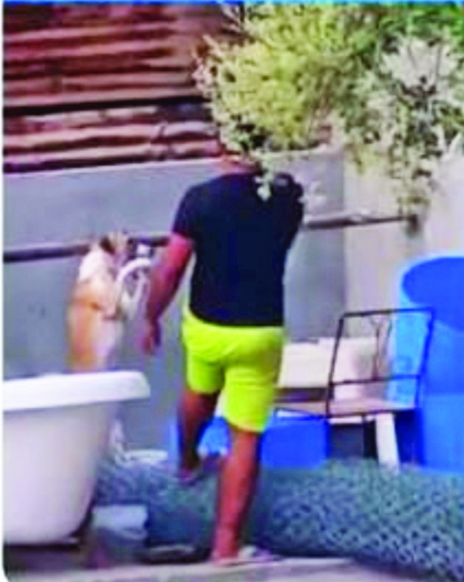 Man held for torturing dog Man held for torturing dog