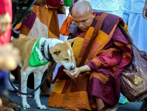 US-based Buddhist monks bring peace walk to Sri Lanka