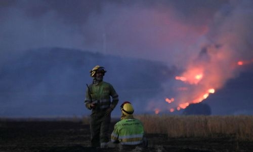 Spain's PM says 'more than 500 died' from heatwave Spain's PM says 'more than 500 died' from heatwave