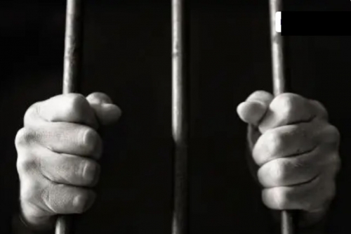 A Man Jailed for Setting Palm Tree Ablaze A Man Jailed for Setting Palm Tree Ablaze