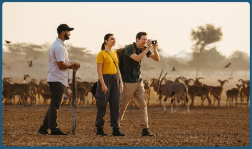 Abu Dhabi Unveils Top Eid Al Adha Getaways Across Al Ain and Al Dhafra Abu Dhabi Unveils Top Eid Al Adha Getaways Across Al Ain and Al Dhafra