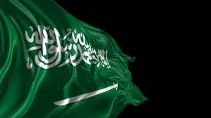 Saudi, Chinese navies hold joint drills Saudi, Chinese navies hold joint drills