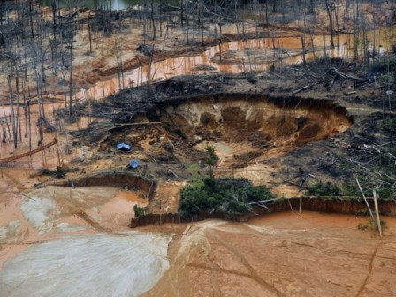 Amazon slowly eaten away by gold rush's illegal mines Amazon slowly eaten away by gold rush's illegal mines