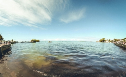 Mauritius scrambles to counter oil spill from grounded ship