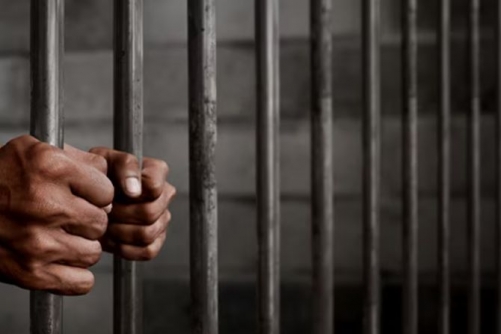 Punished for hiding drugs in seafood 