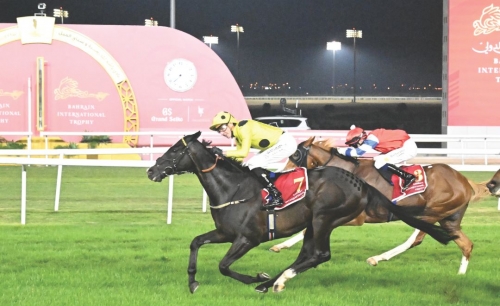 Bahrain Bourse Cup attracts season’s largest horse racing field