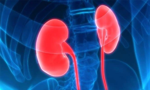 ‘Kidney disease bacteria’ news fake, says MoH 