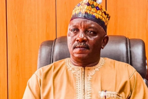 Nigerian ex-energy minister gets 75-year jail term for fraud Nigerian ex-energy minister gets 75-year jail term for fraud