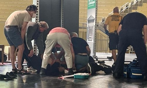 Author Salman Rushdie stabbed in the neck while on lecture stage in New York