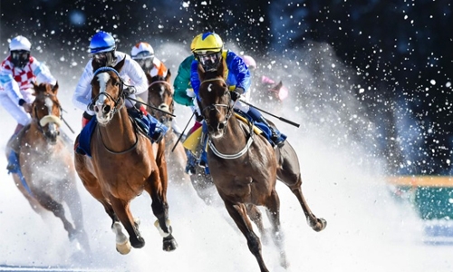 Register for Horse talks Register for Horse talks