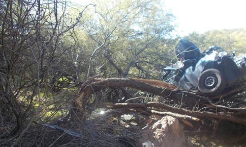 US woman found alive 6 days after car lands on tree US woman found alive 6 days after car lands on tree