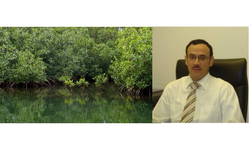 ‘Sixteen varieties of marine habitats unique to Bahrain’ ‘Sixteen varieties of marine habitats unique to Bahrain’