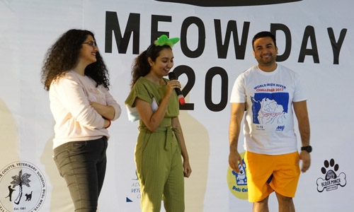 Cat’s day out in Bahrain Cat’s day out in Bahrain