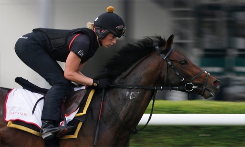 Bahrain establishes itself on international horseracing calendar