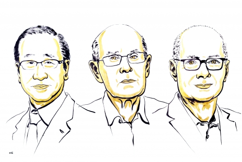 Trio wins chemistry Nobel for new form of molecular architecture