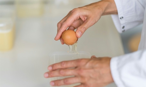 Tainted eggs scandal spreads to Britain, France