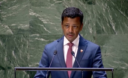 Bahrain urges international community to help implement UNGA resolution to protect civilians in Palestine