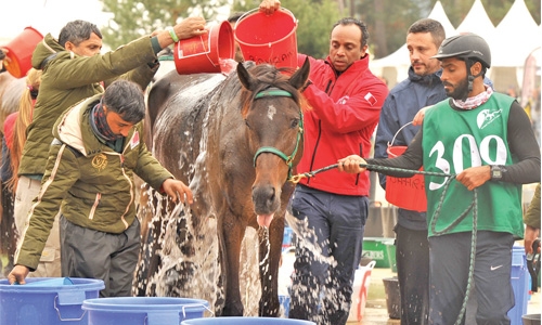 Shaikh Nasser hails Endurance team Shaikh Nasser hails Endurance team