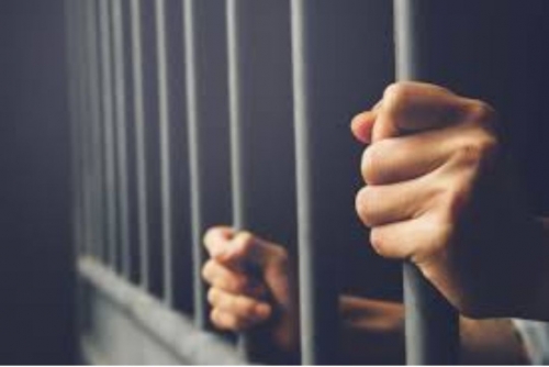 Gulf national jailed for smuggling 230kg ‘paan’ Gulf national jailed for smuggling 230kg ‘paan’