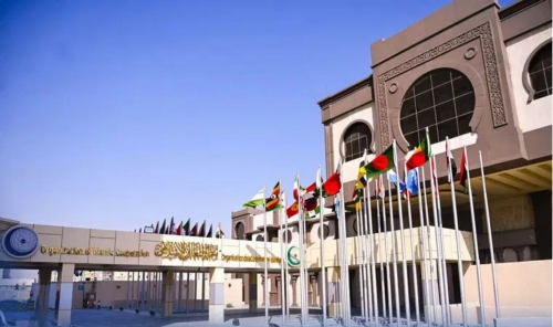 OIC condemns Israeli attacks in southern Lebanon