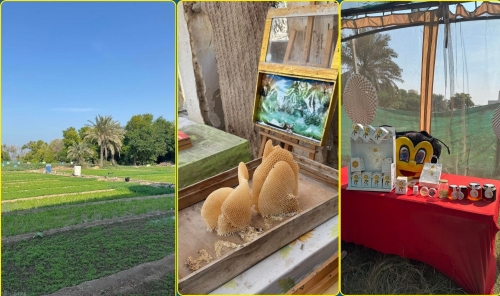 Jannusan farm spreads its wings with butterfly project