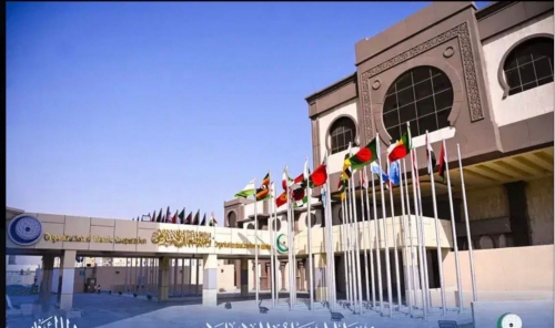OIC Condemns Coordinated Terrorist Attacks Across Mali
