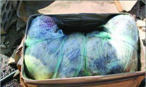 Murder: Death sentences of two Asian men upheld Murder: Death sentences of two Asian men upheld