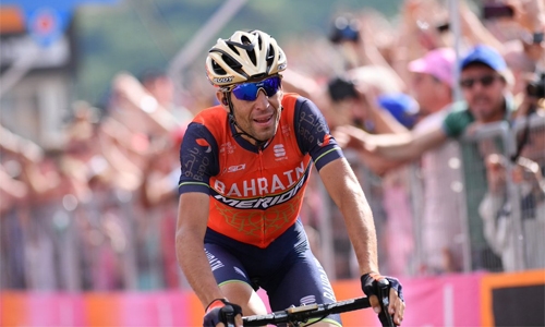 Nibali to ride Tour of Flanders this year Nibali to ride Tour of Flanders this year