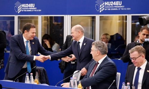 Germany brushes off Musk calling Scholz a ‘fool’ Germany brushes off Musk calling Scholz a ‘fool’