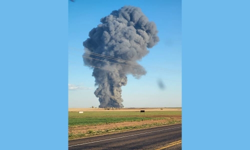 'Horrific' explosion and fire kill 18,000 cattle in Texas