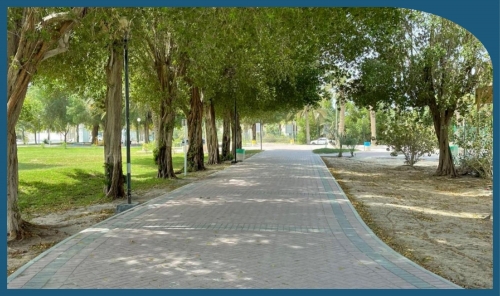 3.6 million trees to be planted across Bahrain by 2035 3.6 million trees to be planted across Bahrain by 2035