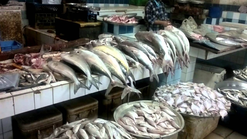 Fish prices increase as temperatures soar, less fishing and declining fisheries termed reasons