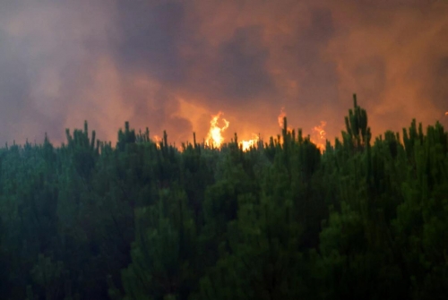 France fighting 'monster' wildfire near Bordeaux