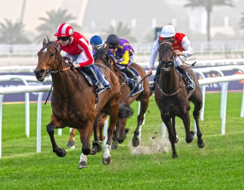 Horseracing season set for grand finale
