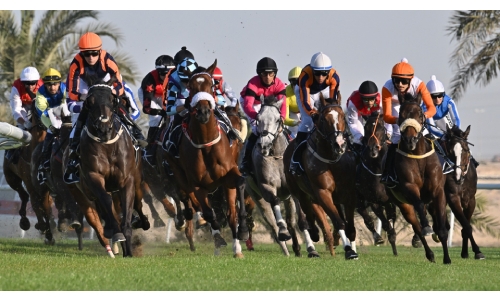 Exciting eight-race card set for REHC Exciting eight-race card set for REHC