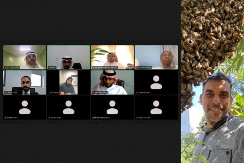 Major Green Push Major Green Push