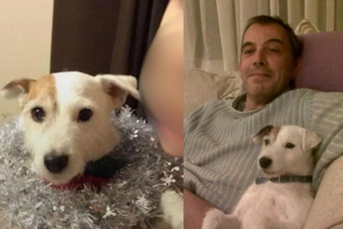 Norfolk Woman Faces Trial for Stabbing Husband After Discovery of Euthanised Dogs