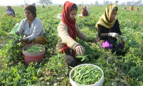 Genetic hack Genetic hack