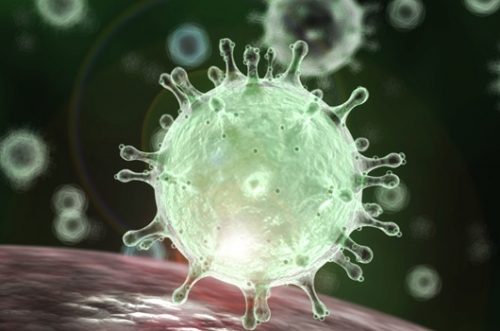 Global coronavirus cases exceed 50 million after 30-day spike