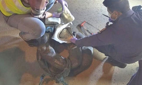 Bid to smuggle drug from Iran foiled Bid to smuggle drug from Iran foiled