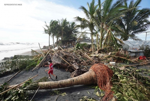 Tree Collapse During Easter Egg Hunt in Germany Kills Three, Including Infant