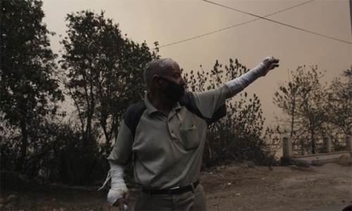 Wildfires in Algeria leave dozens dead, including soldiers