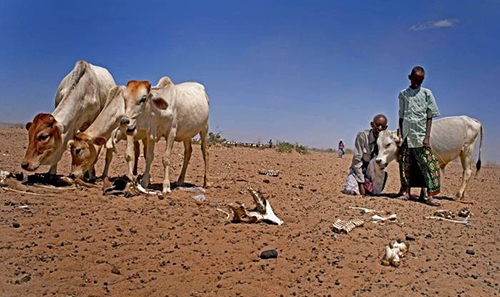 Ethiopia drought 'as bad for children as Syria's war'