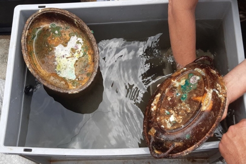 First objects retrieved from Titanic's sister ship in Greece