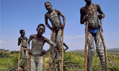 ‘Zebra’ bodypaint cuts fly bites 10-fold ‘Zebra’ bodypaint cuts fly bites 10-fold