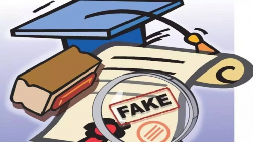 Higher Education Council cracks down on fake universities in Bahrain
