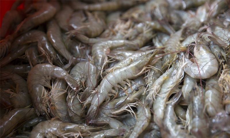 270kg of shrimp seized with boat