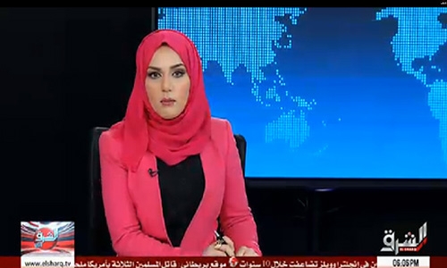 Bahrain to sue Turkish channel for insult 