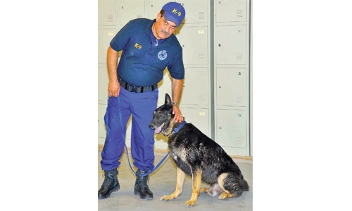 More dogs for K9 unit 