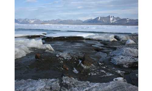 Danish researchers find what is likely world's northernmost island